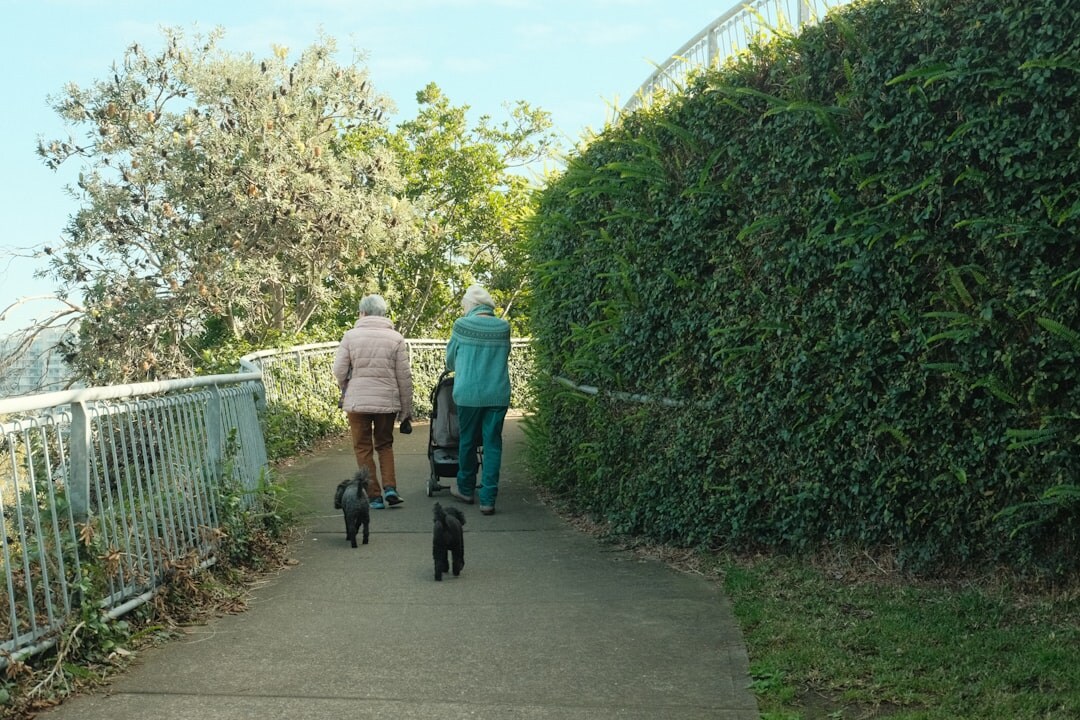 seniors enjoying time together