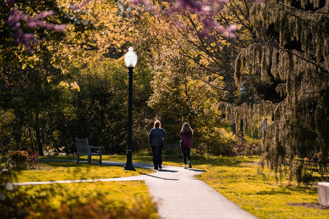 senior group walking in park