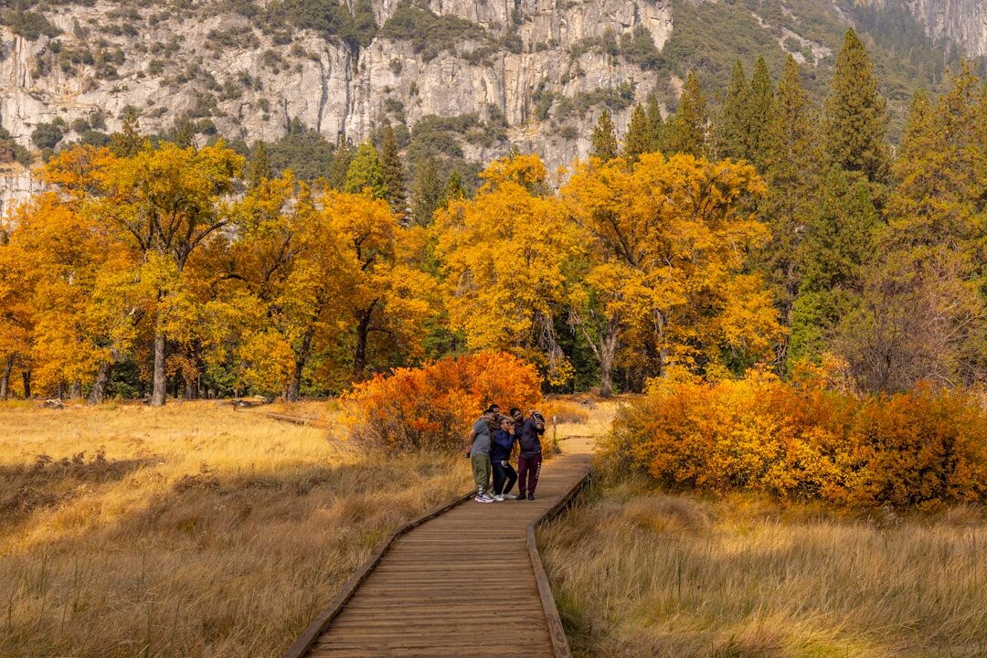 seniors walking in park
